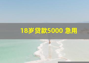 18岁贷款5000 急用